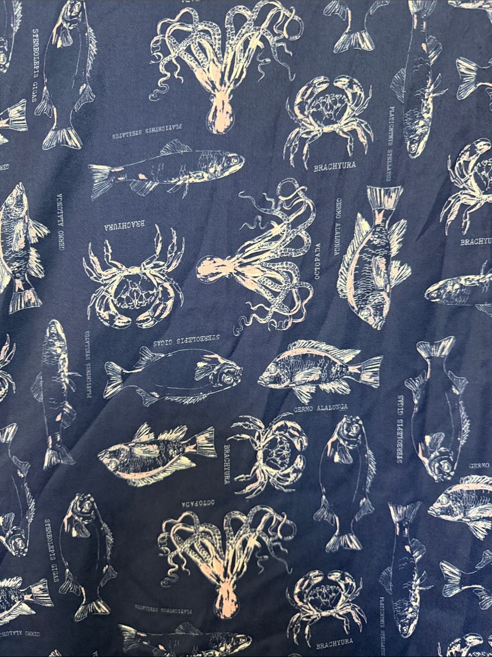 1X Modcloth Sea Creatures Ruffle Neck Blouse - Picture 4 of 7